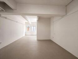 Geylang Conservation Area (D14), Shop House #618128591